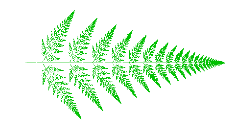 barnsley_fern_var.png